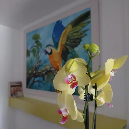 Гостевой дом L83 - And Лиссабон